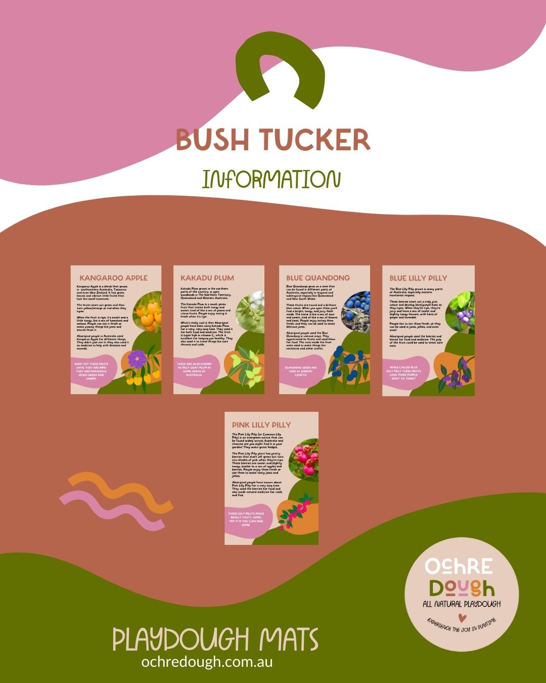 Bush Tucker Playdough Pack (5-pack)