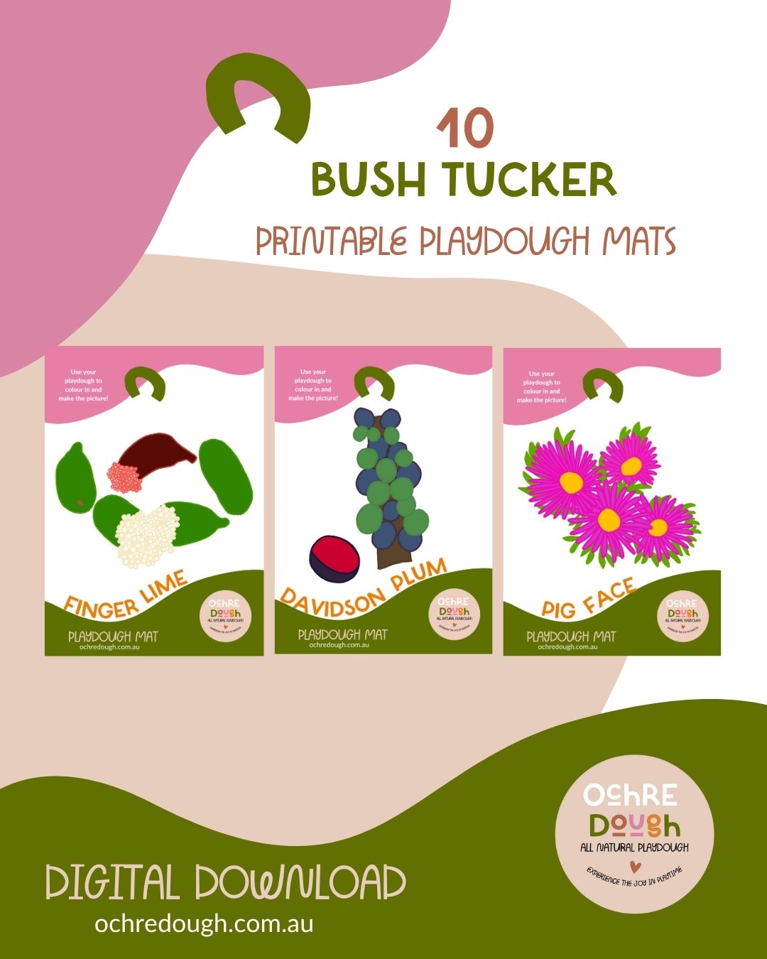 10 Bush Tucker Playdough Mats (digital download, printable)